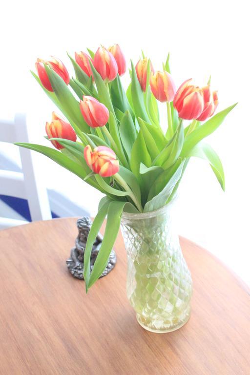 Tulip Of Amsterdam Bed & Breakfast Oda fotoğraf